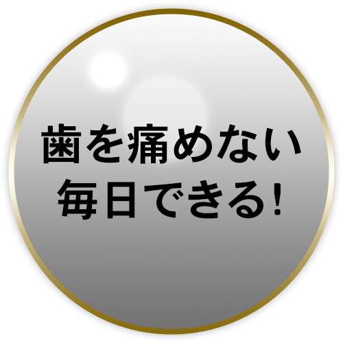 歯を痛めない　毎日できる！