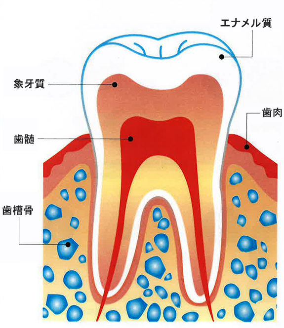 黄ばみの原因